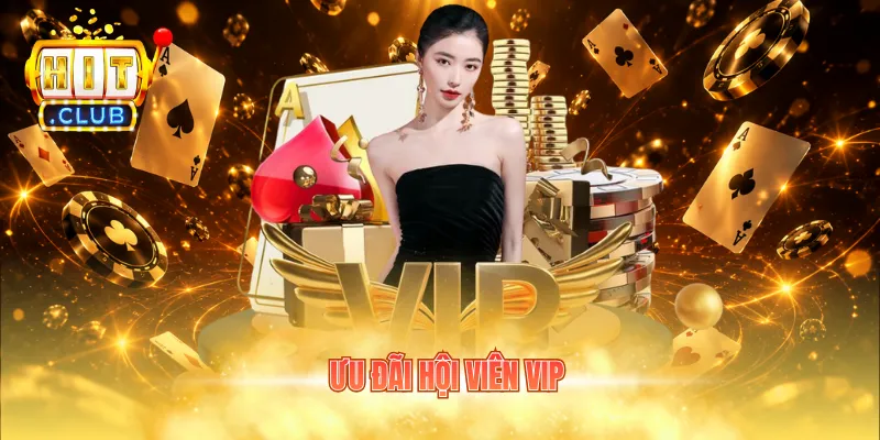 ưu đãi hội viên vip
